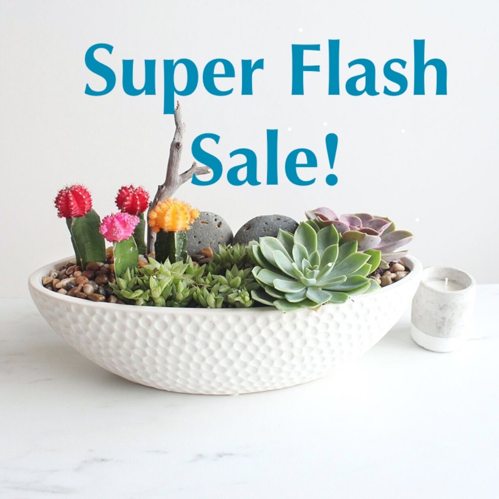 Flash Sale! Make me an offer!